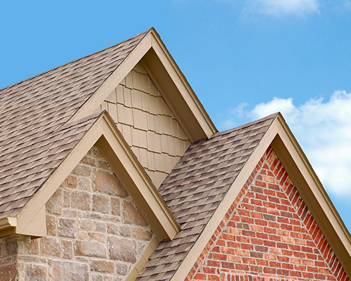 Roof Cleaning